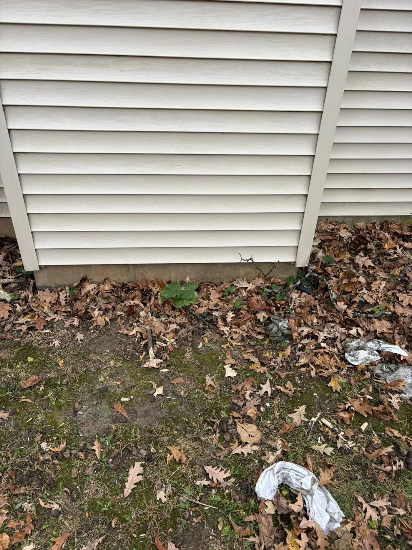 The same siding clean and even after a Kussmaul Co. soft wash