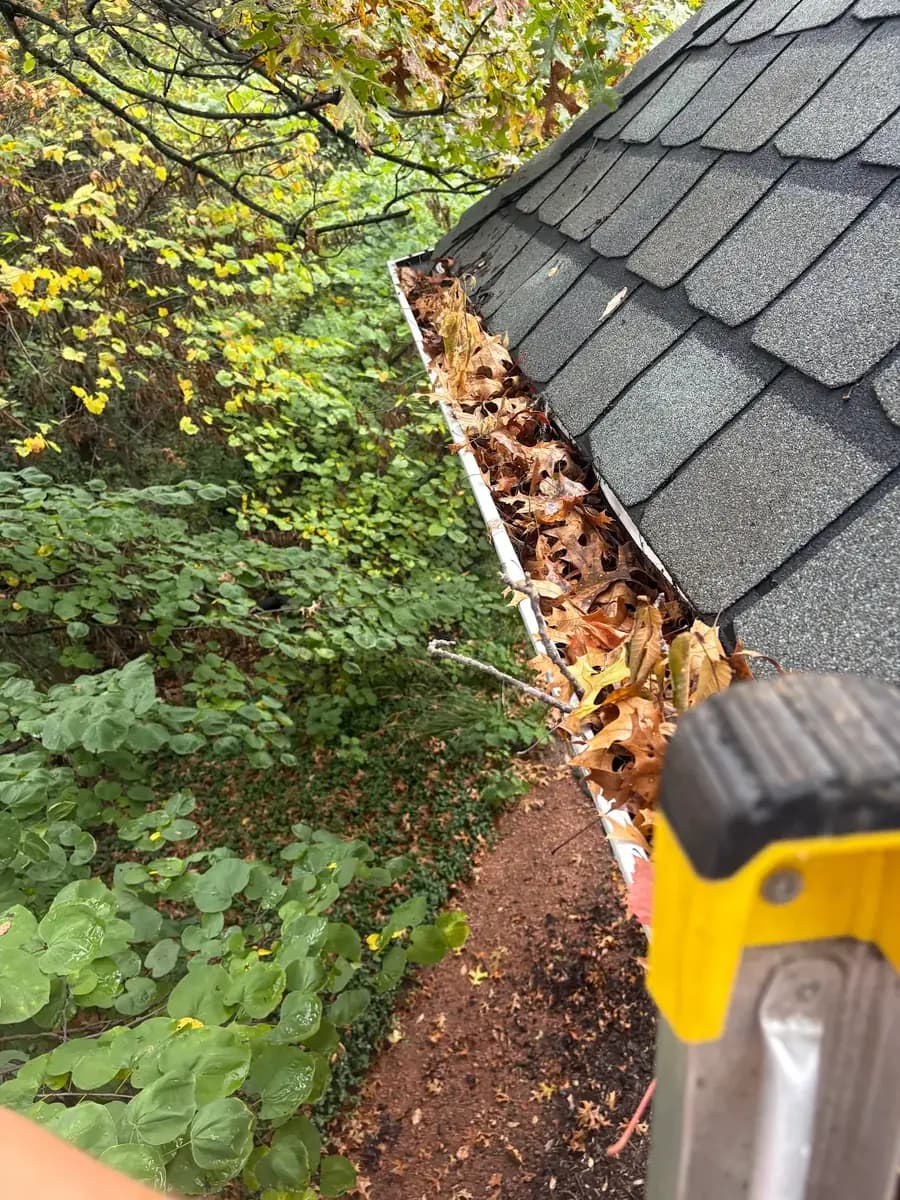 Gutter packed with leaves and debris before Kussmaul Co. cleaning