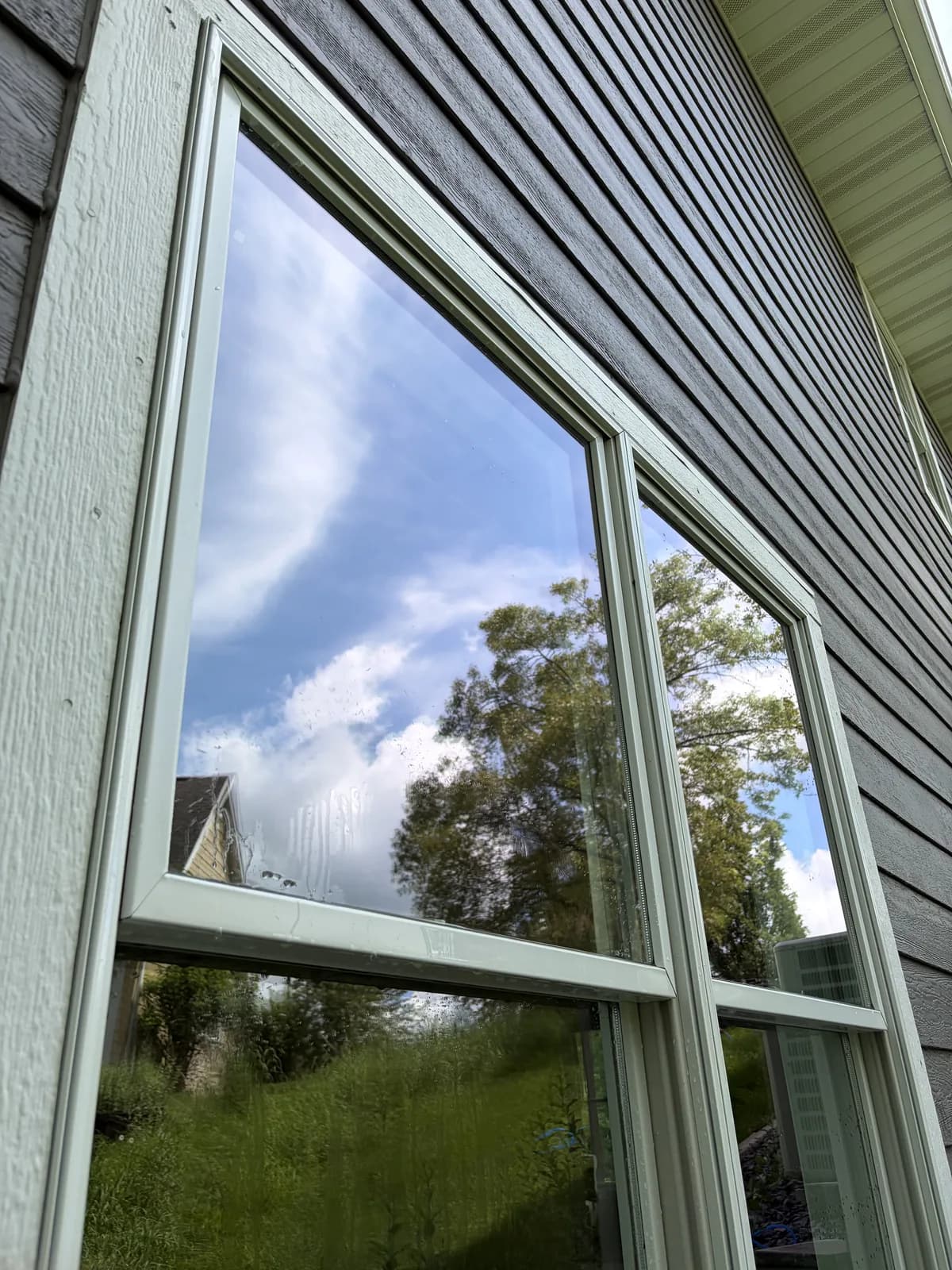 Close-up of spotless, streak-free window glass reflecting blue sky and trees after a real Kussmaul Co. cleaning